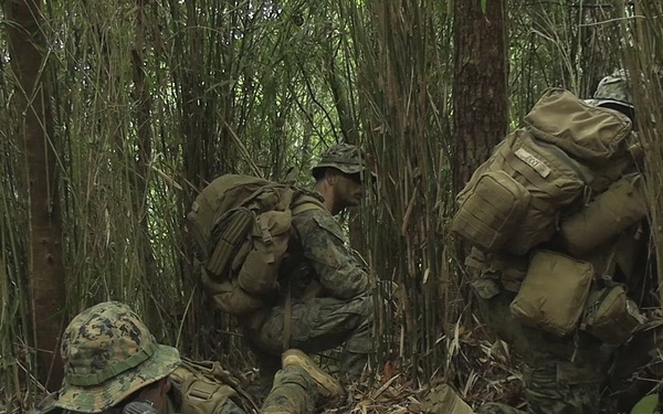 3d Marine Division Participates in Rifle Squad Competition