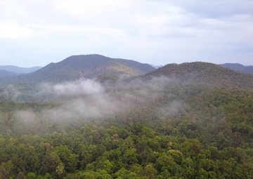 Hanuman Guardian 2025