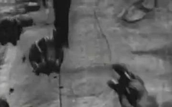 Army 250th Birthday: Strength Across Europe (USAREUR-AF)