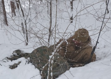 5th ANGLICO, ROK MC 33rd Infantry Battalion Conduct Force-on-Force