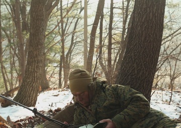 5th ANGLICO, ROK MC 33rd Infantry Battalion Conduct Force-on-Force