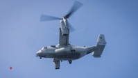 Marine Minute 14-25