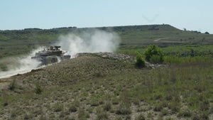 Soldiers Train to Win: 1st Cavalry Division Hosts Live-Fire and Media Day