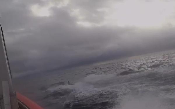 Training with U.S. Coast Guard Tactical Law Enforcement Team South