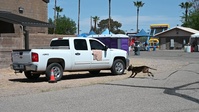 2025 DM50 Picnic & Car Show