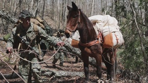 CLB-8 Animal Handler and Packer Course | Day 2 B-roll