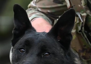 Great Texas Freedom Fest social media spot