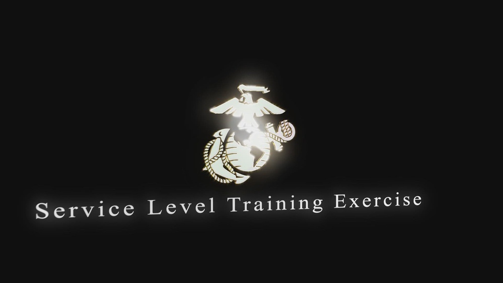 DVIDS - Video - Service Level Training Exercise