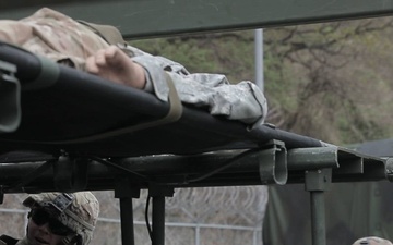Soldiers Train to get their Expert Field Medical Badge