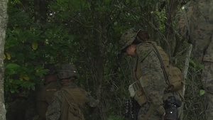 Field Training Exercise 2025: Concealment Class and Urban Terrain Training B-Roll