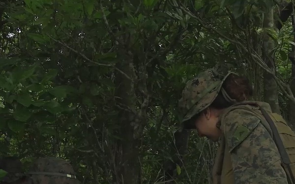 Field Training Exercise 2025: Concealment Class and Urban Terrain Training B-Roll