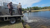 U.S. Fish and Wildlife Service stocks trout at Fort McCoy for 2025, Part 1