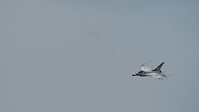 U.S. Air Force Thunderbirds fly in for Air Power over Hampton Roads