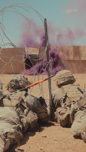 REEL: US combat engineers conduct squad live fire exercise in Tunisia