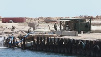B-Roll: US, Tunisia conduct water purification in support of African Lion 2025