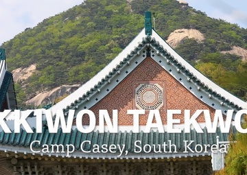 Kukkiwon Taekwondo Demonstration