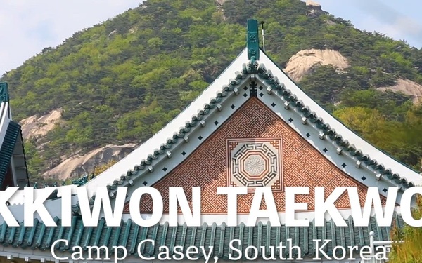 Kukkiwon Taekwondo Demonstration