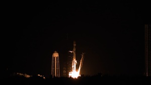 Starlink 12-10