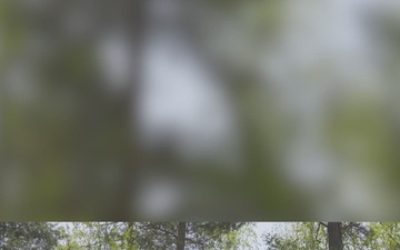 U.S. Army Snipers: The First Shot Means Everything