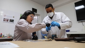 B-Roll: US, Tunisian Armed Forces collaborate in forensic lab during African Lion 2025