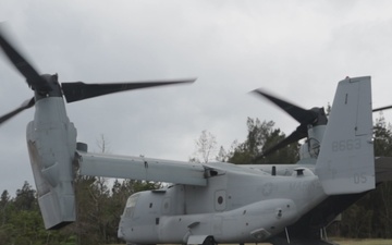 31st MEU conducts TRAP as a part of MEUEX