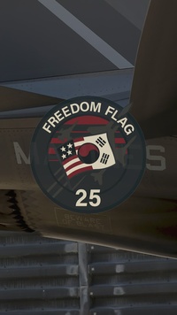 U.S. Marine F-35Bs fly during exercise Freedom Flag 25-1