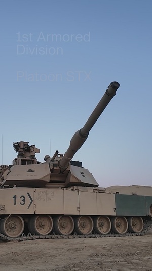 4th Battalion, 6th Infantry Regiment Platoon STX (Reel)