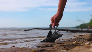 Base Wide Cleanup; From the Shore B-Roll