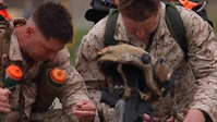 Honor Through Pain: U.S. Marines 16th Annual Reconnaissance Challenge