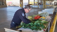 B-roll CBP Agriculture Specialist examines  fresh cut flower imports.
