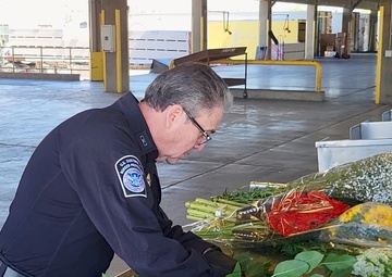 B-roll CBP Agriculture Specialist examines  fresh cut flower imports.