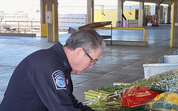 B-roll CBP Agriculture Specialist examines  fresh cut flower imports.