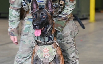 Silent defenders: standing watch