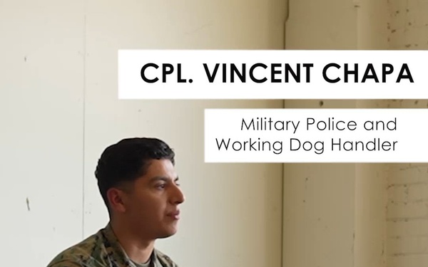Working Dog Handler Reel