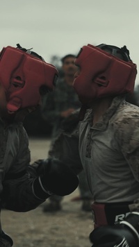 Fox Company Body Sparring