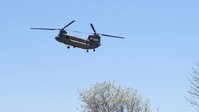 10th Mountain Division Conducts Air Assault During Mountain Peak 25