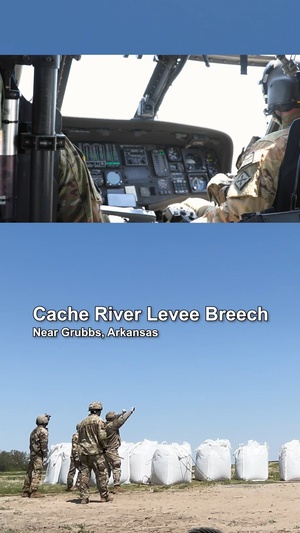 Cache River Levee Breech