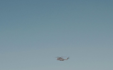VMX-1 Quenches the Thirst of Big Horn Sheep