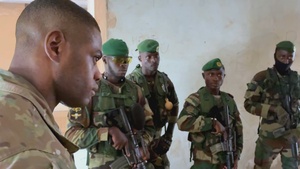 Partners: COFUMACO and Royal Netherlands Forces Conduct Bilateral Training