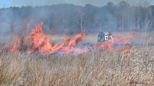 Joint Base Langley-Eustis Performs First Prescription Fire in 10 Years (B-roll #2)