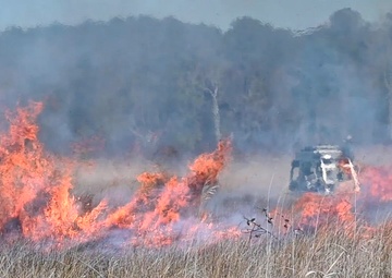 Joint Base Langley-Eustis Performs First Prescription Fire in 10 Years (B-roll #2)