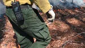 Joint Base Langley-Eustis Performs First Prescription Fire in 10 Years (B-roll #3)