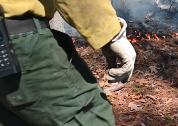 Joint Base Langley-Eustis Performs First Prescription Fire in 10 Years (B-roll #3)