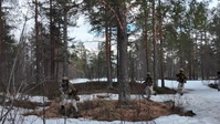 Norwegian Infantry Conduct Force on Force Training (Part 4)