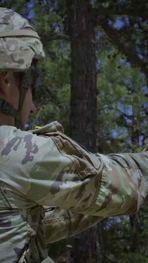 Best Warrior Social Media video