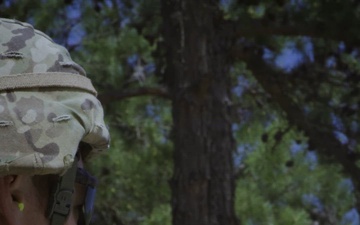 Best Warrior Social Media video