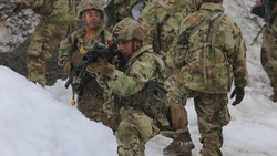Defender Europe - Force on Force Exercise
