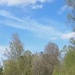Reel; Video Product; Task Force Voit trains alongside Estonian Armed Forces and NATO Allies during Hedgehog Exercise
