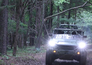 The Capabilities of an ISV