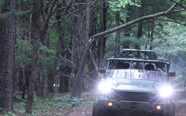 The Capabilities of an ISV